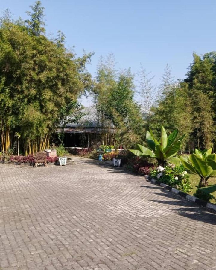 Le Bambou Gorilla Lodge Kinigi المظهر الخارجي الصورة