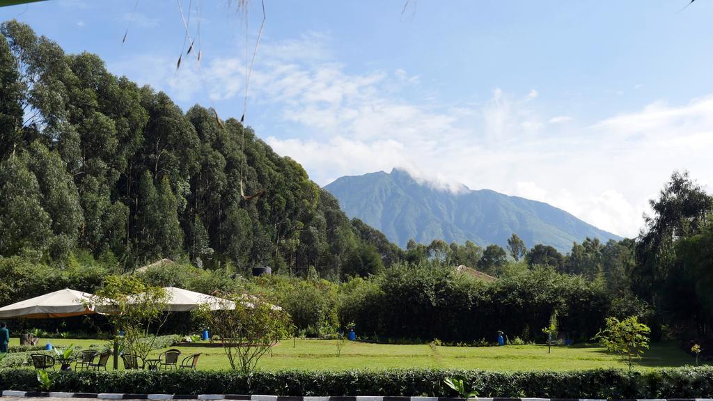 Le Bambou Gorilla Lodge Kinigi المظهر الخارجي الصورة