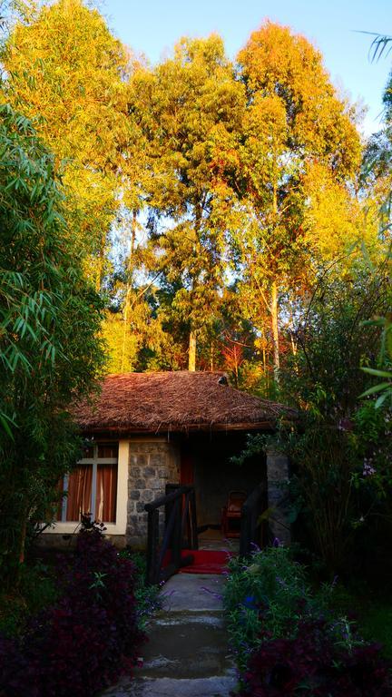 Le Bambou Gorilla Lodge Kinigi المظهر الخارجي الصورة